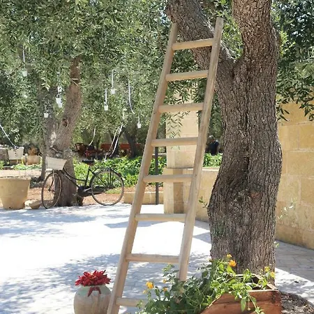 Il Giardino Degli Aromi Bed & Breakfast *